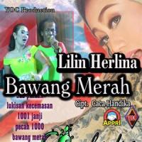 Bawang Merah Lilin_Lilin Herlina