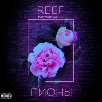Пионы_Reef,IVAN VALEEV