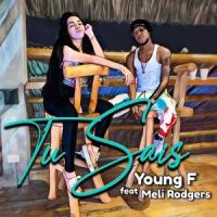 Tu Sais_Young F,Meli,SNDY