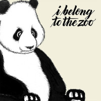 Game of Questions_I Belong To The Zoo,Rodolfo Guerrero