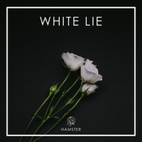 We Never Know Anymore_Hamster,Alxxa,Raz Klinghoffer,Alexandra Saad