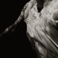 Don't Know Why_Ghostly Kisses,Vann Delorey,Margaux Sauvé,Louis-Étienne Santais