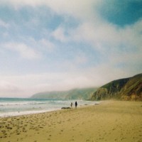 Needles Disney_Jesu,Sun Kil Moon
