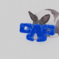 蓝本 Blue Prints_Capper,Cool-Aid陈轶伦