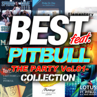 Can't Dance Alone (feat. Pitbull)_Pitbull,Montage