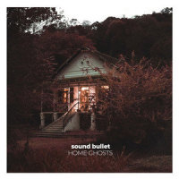 Phoenix_Sound Bullet