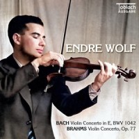Violin Concerto in D Major, Op. 77: III. Allegro giocoso, ma non troppo vivace_Endre Wolf,Walter Goehr,London Symphony Orchestra