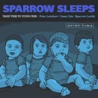 Reinventing the Wheel to Run Myself Over_Sparrow Sleeps,Fall Out Boy