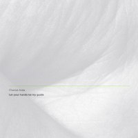 Arms Up High_Chantal Acda,Nils Frahm,Peter Broderick,Gyda Valtysdotti,Shahzad Ismaily