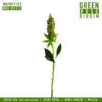 Clear My Head_Jesse Royal,Walshy Fire,Gacha