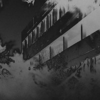 Fog and Bliss_Cascades