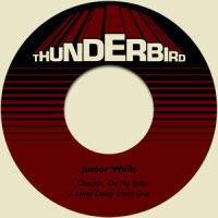 Checkin' on My Baby_Junior Wells