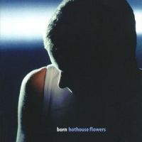 Find the Time_Hothouse Flowers