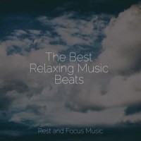 Celestial Figments_Zarobi,The Sleep Helpers,Pink Noise