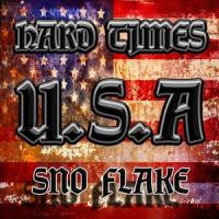 Hard Times USA(feat. Paul Gibson)_Sno Flake,Paul Gibson