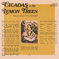 Cicadas in the Lemon Trees_Field Guides