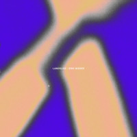 Landslide_Erik Nieder