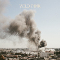 Q. Degraw_Wild Pink