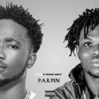 Parpin(feat. Parko West)_Nana,Parko West
