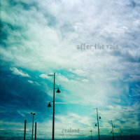 After the Rain_Zealand,Rachel Scharnberg
