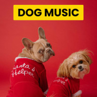 Inspiring Ambience for The Happiest Dogs_Sleepy Dogs,Cat Music,Dog Music