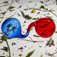 Break-Thru_Dirty Projectors