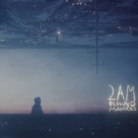 2am(with Hugo)_flawed mangoes,Hugo