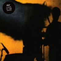 Silver Plane_Felt