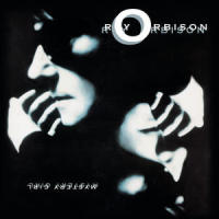 A Love So Beautiful_Roy Orbison