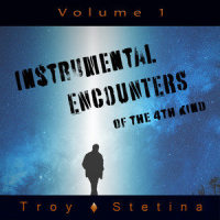 Brokenly Beautiful_Troy Stetina