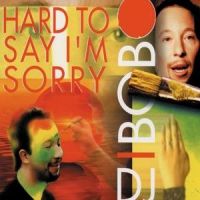 Hard to Say I'm Sorry_DJ Bobo