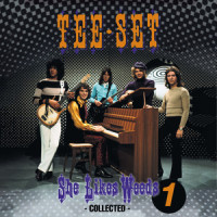 I'll Be Lost Without Your Lovin'_Tee-Set,Polle Eduard,Peter Tetteroo,Ferry Lever