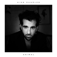 Animal_King Charles