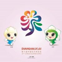 花开中国梦_廖昌永