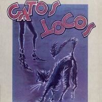 Buscando rock and roll_Gatos Locos