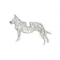 Tribute To The Cat_Basenji