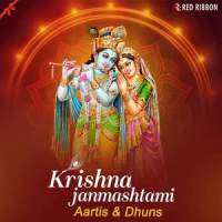 Krishnam Charanam Dhun_Anuradha Paudwal,Jaswant Singh