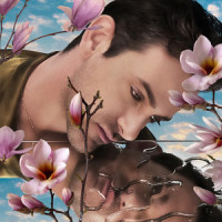 I'm Sorry(pardonne-moi)_Josef Salvat