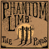 Give Me A Reason_Phantom Limb