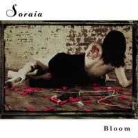 Jackson's Song_Soraia,Soraia Mansour,Travis Smith