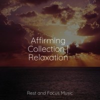 We Are the One_Relaxing Nature Music,Música de la Naturaleza,Wellness