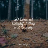 Dreamlike Zen_Sleepy Night Music,Sleepy Times,Especialistas de Musica para Dormir
