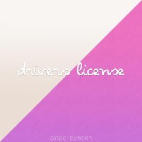 Drivers License_Casper Esmann