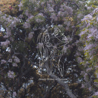 Already Broken(feat. Celestia)_Late June,Celestia,Liam Bevin
