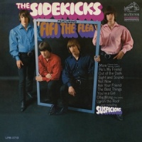 You're a Girl_The Sidekicks