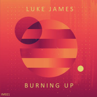 Burning Up_Luke James