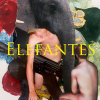 Elefantes_Tessa Ia