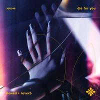 die for you - slowed + reverb_Slo,Twilight,Tazzy