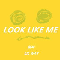 像我这样 (Prod.by Furyl)_腻味