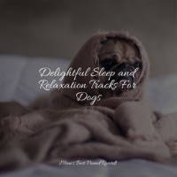 Massage Therapy_Relaxing Music for Dogs,Sleepy Dogs,Jazz Music for Dogs